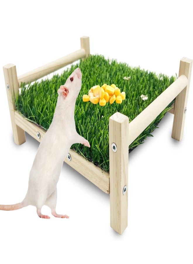 FlidRunest Wooden Rat Foraging Toys, Artificial Grass Foraging Mat for Rats, Safe Rats Enrichment Toys Activities, Boredom Relief Hanging Bed for Pet Rat - Image 1